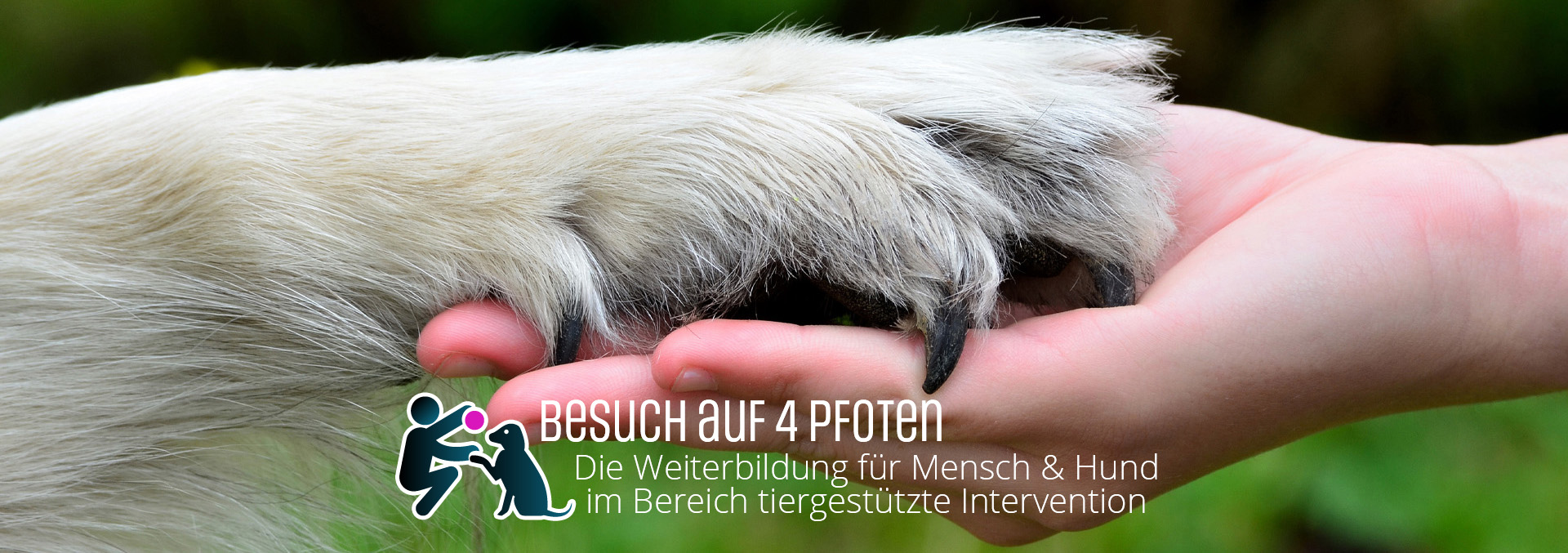 Besuch auf 4 Pfoten - Desktopbanner